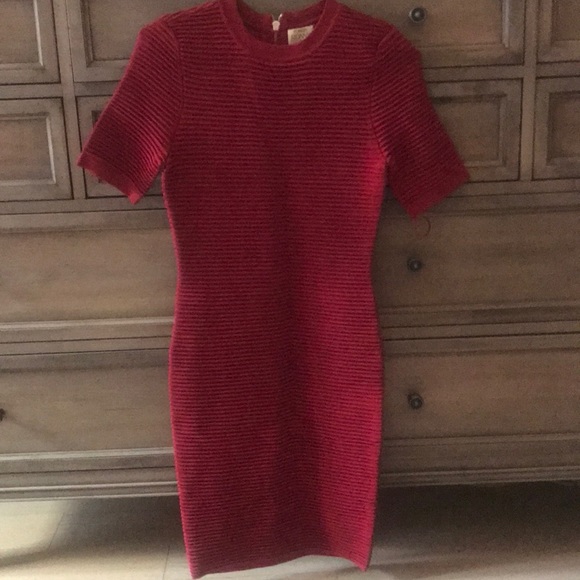 NWT: Torn Ronny Kobo Bodycon Dress Size:S - Picture 1 of 6